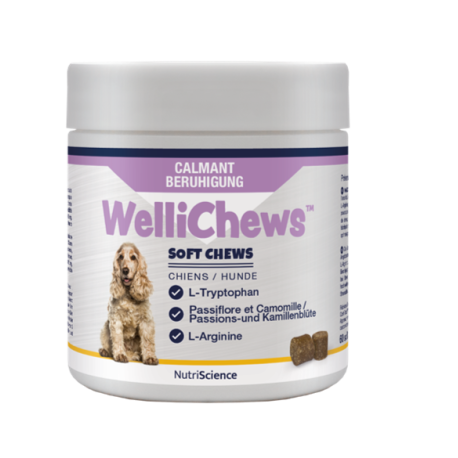 WelliChews™ Calmant Soft Chews moyens et grands chiens 60 unités